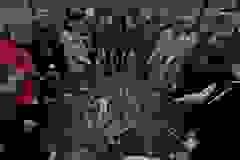 a4ff07ee-e1b3-4d78-9528-ed64b6a4a9ac
