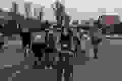 b89a3e29-efda-4b61-891f-3762b5c05fc0