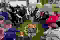 ea88d043-28e1-45a8-bab4-375b1bac5029