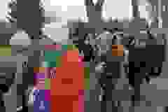 eb967c72-fc9e-4e9b-add3-a9524f5db2a5
